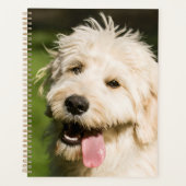 Goldendole Puppy Panting Planner (Voorkant)