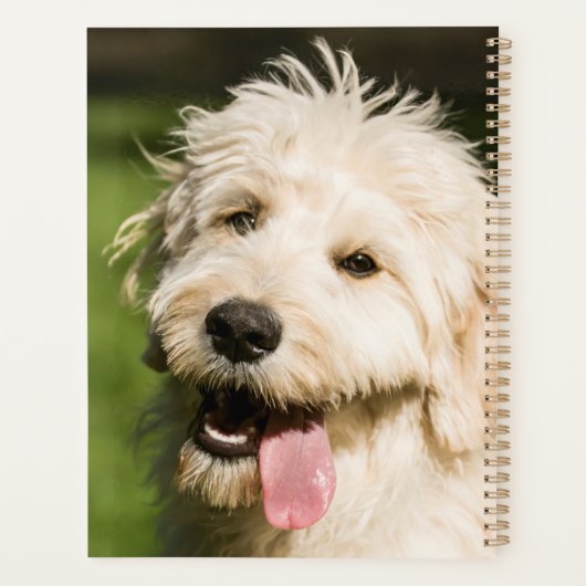 Goldendole Puppy Panting Planner (Achterkant)