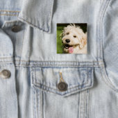 Goldendole Puppy Panting Vierkante Button 5,1 Cm (In situ)