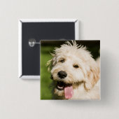 Goldendole Puppy Panting Vierkante Button 5,1 Cm (Voorkant /achterkant)