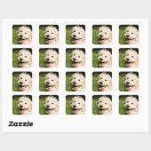 Goldendole Puppy Panting Vierkante Sticker (Vel)