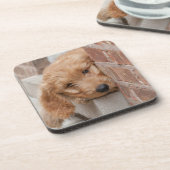 Goldendole Puppy Peeking Bier Onderzetter (Linkerzijde)
