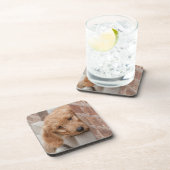 Goldendole Puppy Peeking Bier Onderzetter (Rechterzijde)