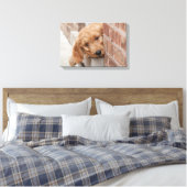 Goldendole Puppy Peeking Canvas Afdruk (Insitu (Slaapkamer))