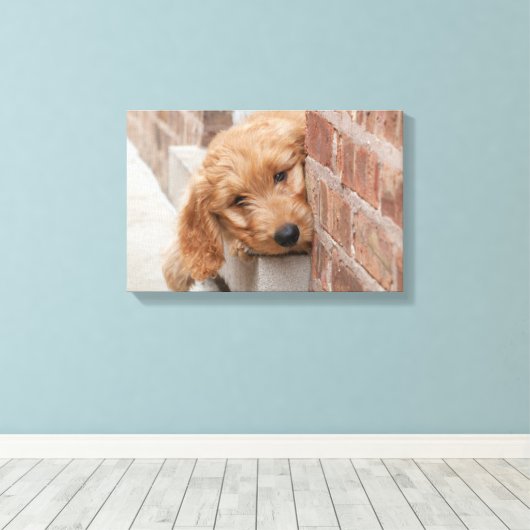 Goldendole Puppy Peeking Canvas Afdruk (Insitu (Houten vloer))