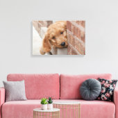 Goldendole Puppy Peeking Canvas Afdruk (Insitu (Woonkamer))