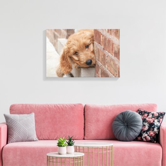 Goldendole Puppy Peeking Canvas Afdruk (Insitu (Woonkamer))