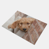 Goldendole Puppy Peeking Deurmat (Schuin)