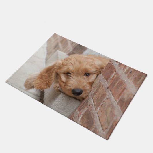 Goldendole Puppy Peeking Deurmat (Schuin)