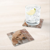 Goldendole Puppy Peeking Kartonnen Onderzetters (Insitu)