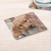 Goldendole Puppy Peeking Kartonnen Onderzetters (Schuin)