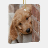 Goldendole Puppy Peeking Keramisch Ornament (Rechts)