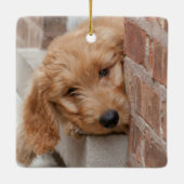 Goldendole Puppy Peeking Keramisch Ornament (Achterkant)