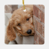 Goldendole Puppy Peeking Keramisch Ornament (Voorkant)