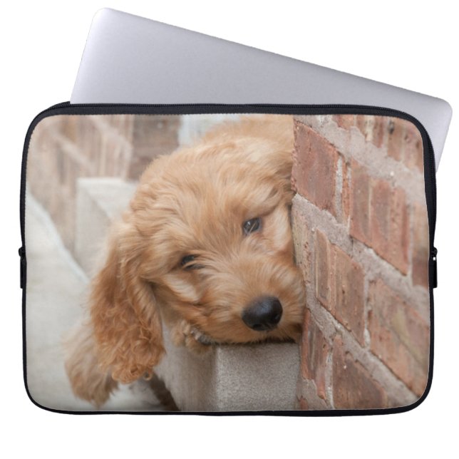 Goldendole Puppy Peeking Laptop Sleeve (Voorkant)