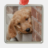 Goldendole Puppy Peeking Metalen Ornament (Voorkant)