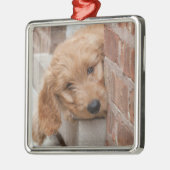 Goldendole Puppy Peeking Metalen Ornament (Links)