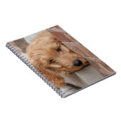 Goldendole Puppy Peeking Notitieboek (Rechterzijde)