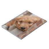 Goldendole Puppy Peeking Notitieboek (Linkerzijde)