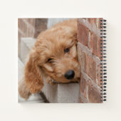 Goldendole Puppy Peeking Notitieboek (Achterkant)