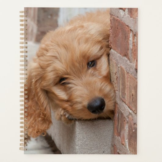 Goldendole Puppy Peeking Planner (Voorkant)