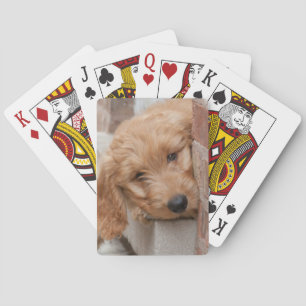 Goldendole Puppy Peeking Pokerkaarten