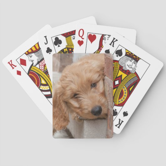 Goldendole Puppy Peeking Pokerkaarten (Achterkant)