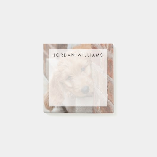 Goldendole Puppy Peeking Post-it® Notes (Voorkant)