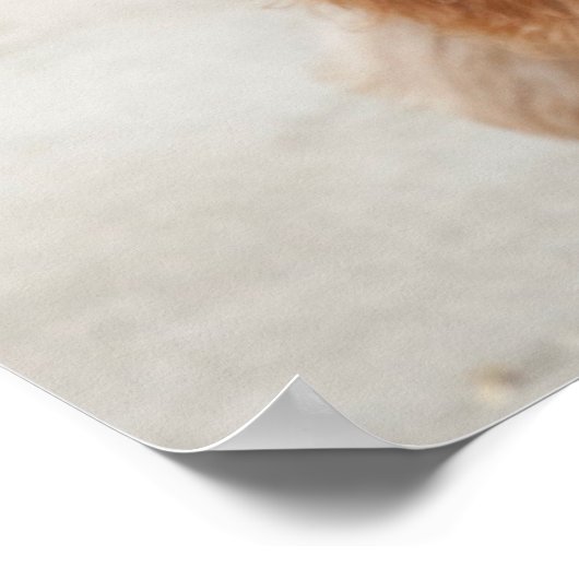 Goldendole Puppy Peeking Poster (Hoek)