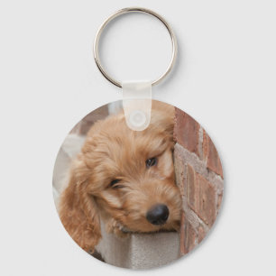 Goldendole Puppy Peeking Sleutelhanger