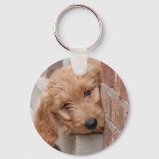 Goldendole Puppy Peeking Sleutelhanger (Voorkant)