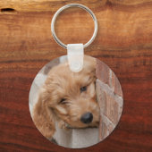 Goldendole Puppy Peeking Sleutelhanger (Voorkant)