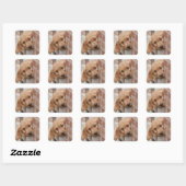 Goldendole Puppy Peeking Vierkante Sticker (Vel)