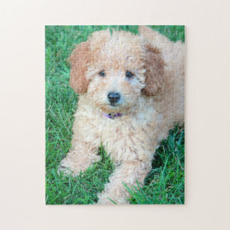 Goldendole Puppy Puzzle Legpuzzel