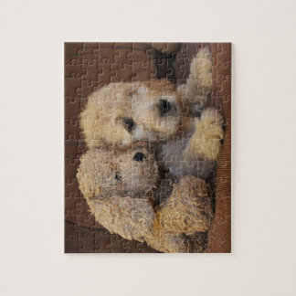Goldendole Puppy Puzzle Legpuzzel