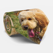 Goldendole Puppy Stropdas (Opgerold)