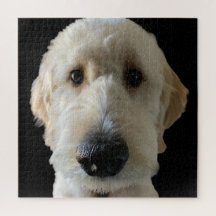 Goldendole Puzzle