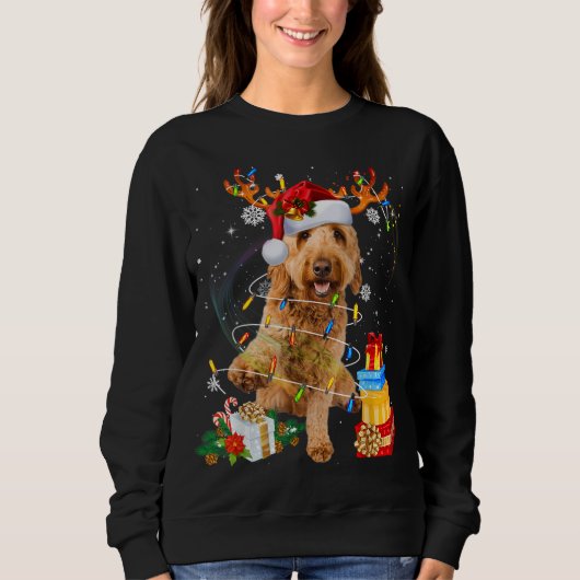 Goldendole Reindeer kerstlampjes Funny Dog X Trui (Voorkant)