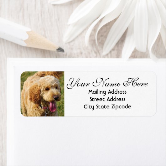 Goldendole Return-adres Etiket (Insitu)