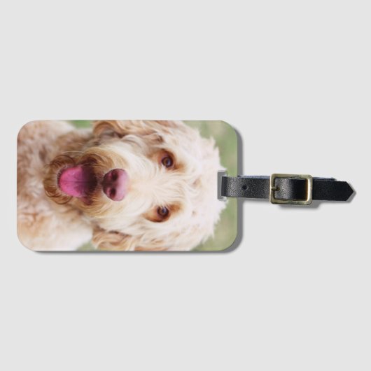 Goldendole Smiling Bagagelabel (Voorkant (horizontaal))