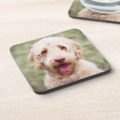 Goldendole Smiling Bier Onderzetter (Linkerzijde)