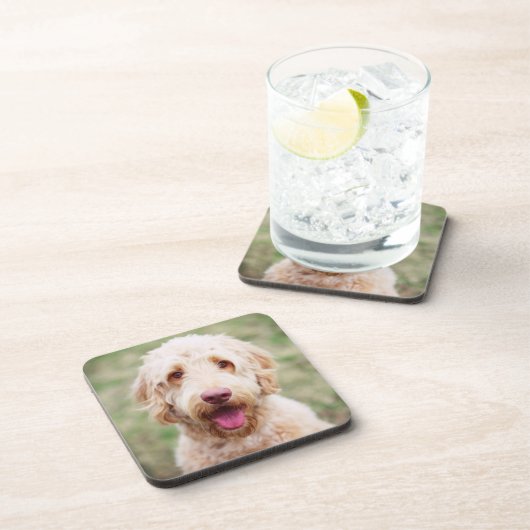 Goldendole Smiling Bier Onderzetter (Rechterzijde)