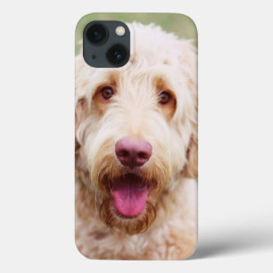 Goldendole Smiling Case-Mate iPhone Case