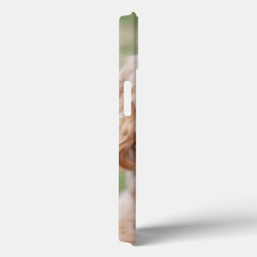 Goldendole Smiling Case-Mate iPhone Case (Achterkant / Rechts)