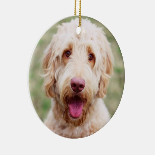 Goldendole Smiling Keramisch Ornament (Rechts)