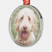 Goldendole Smiling Metalen Ornament (Links)