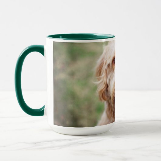 Goldendole Smiling Mok (Links)