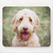 Goldendole Smiling Muismat (Voorkant)