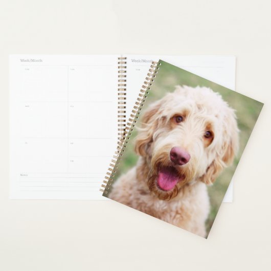 Goldendole Smiling Planner (Display)