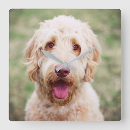 Goldendole Smiling Vierkante Klok (Voorkant)